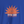 Blue t-shirt with an orange sun graphic and text 'Busna Vida Live the Good Life' on a solid blue background