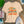 Here Comes the Sun Tee - Salt + Threads Co.