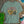 Oldest City Tee - Salt + Threads Co.