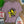 Queen Tee - Salt + Threads Co.