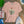 Shark Bite Capital Tee - Salt + Threads Co.