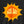 Sun Day - Salt + Threads Co.